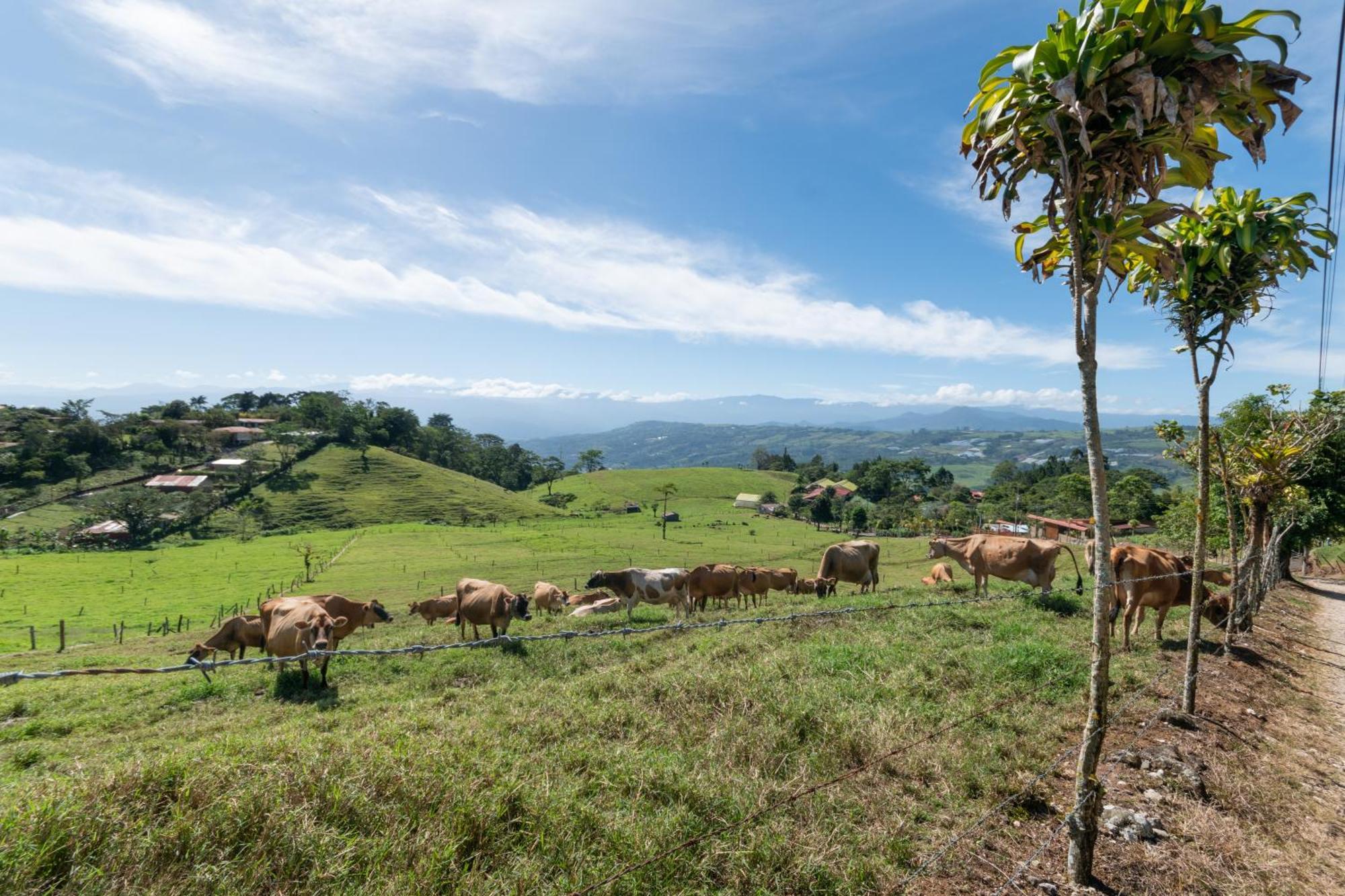 Vista Turrialba Lodge Ngoại thất bức ảnh