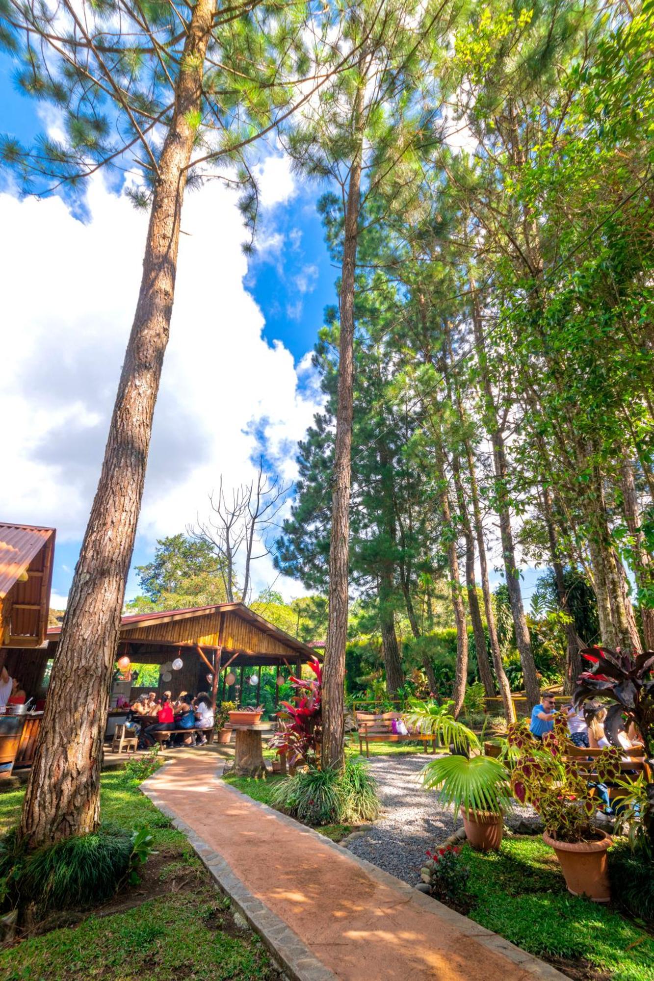 Vista Turrialba Lodge Ngoại thất bức ảnh