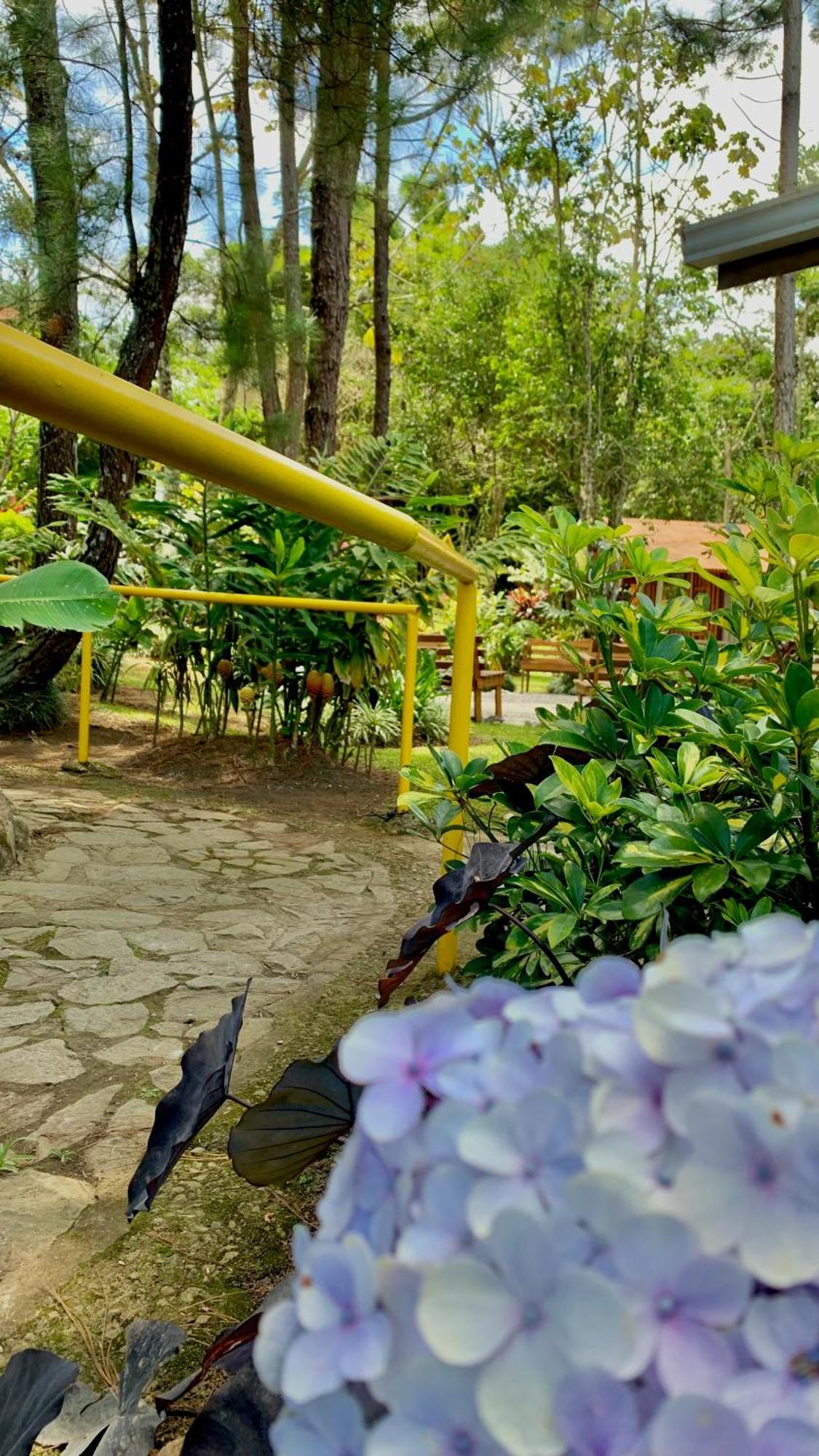 Vista Turrialba Lodge Ngoại thất bức ảnh